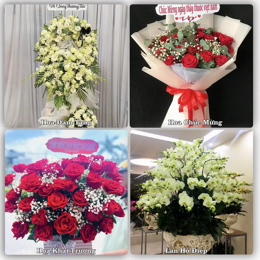 Tư vấn chọn hoa theo người nhận và dịp tặng tại Phường Long Nguyên - Thành phố Hồ Chí Minh