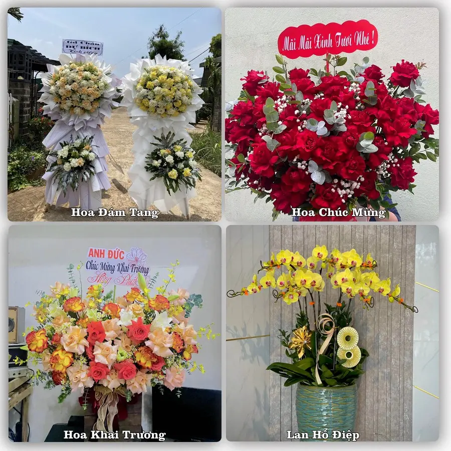 Tư vấn chọn hoa theo người nhận và dịp tặng tại Xã Mỹ An Hưng - Tỉnh Đồng Tháp