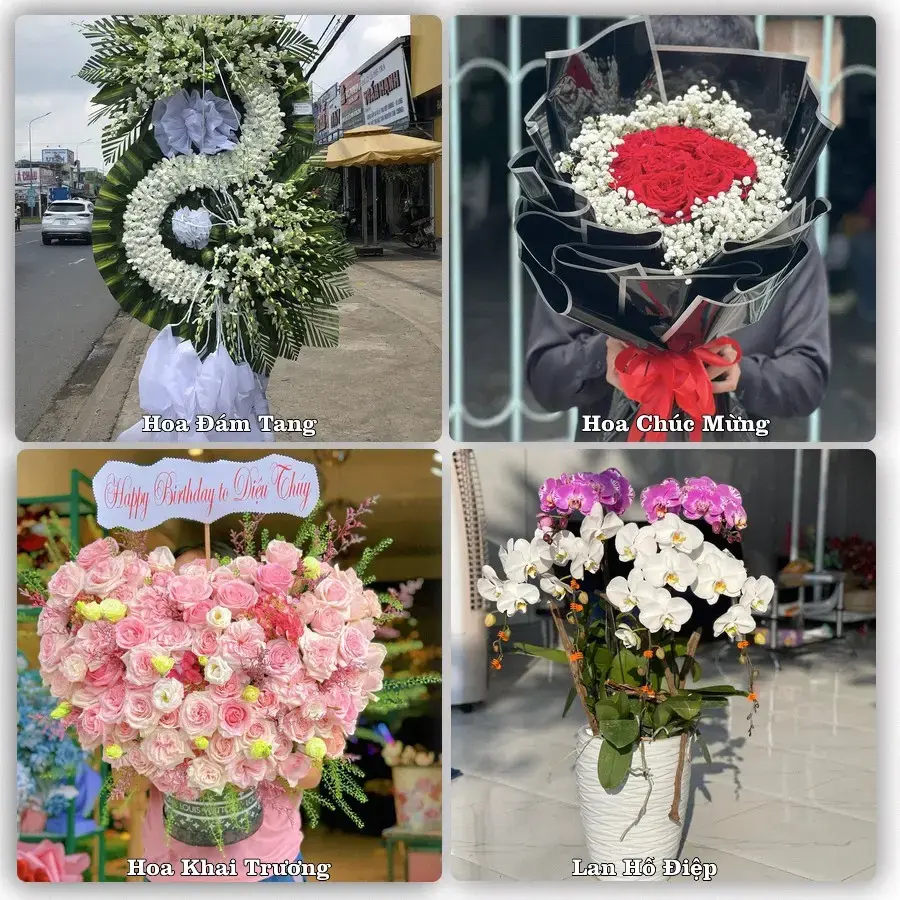 Shop hoa tươi Phường Nam Triệu, Hải Phòng – đặt hoa theo dịp, giao tận nơi