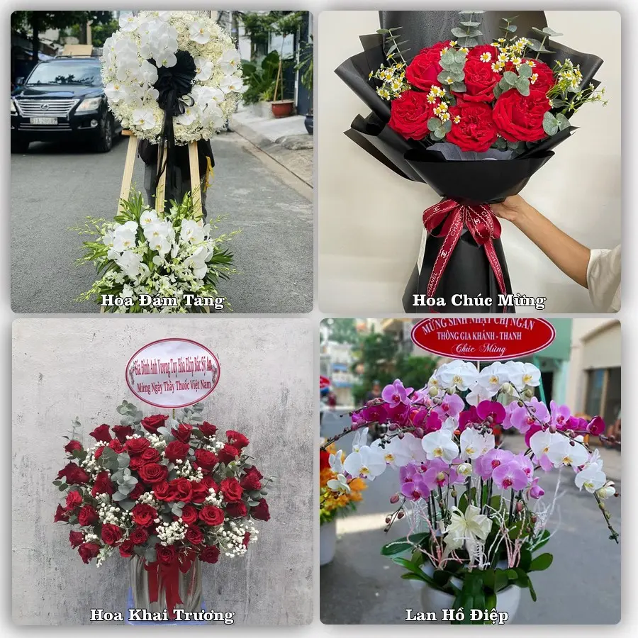 Tư vấn chọn hoa theo người nhận và dịp tặng tại Xã Ngũ Hiệp - Tỉnh Đồng Tháp