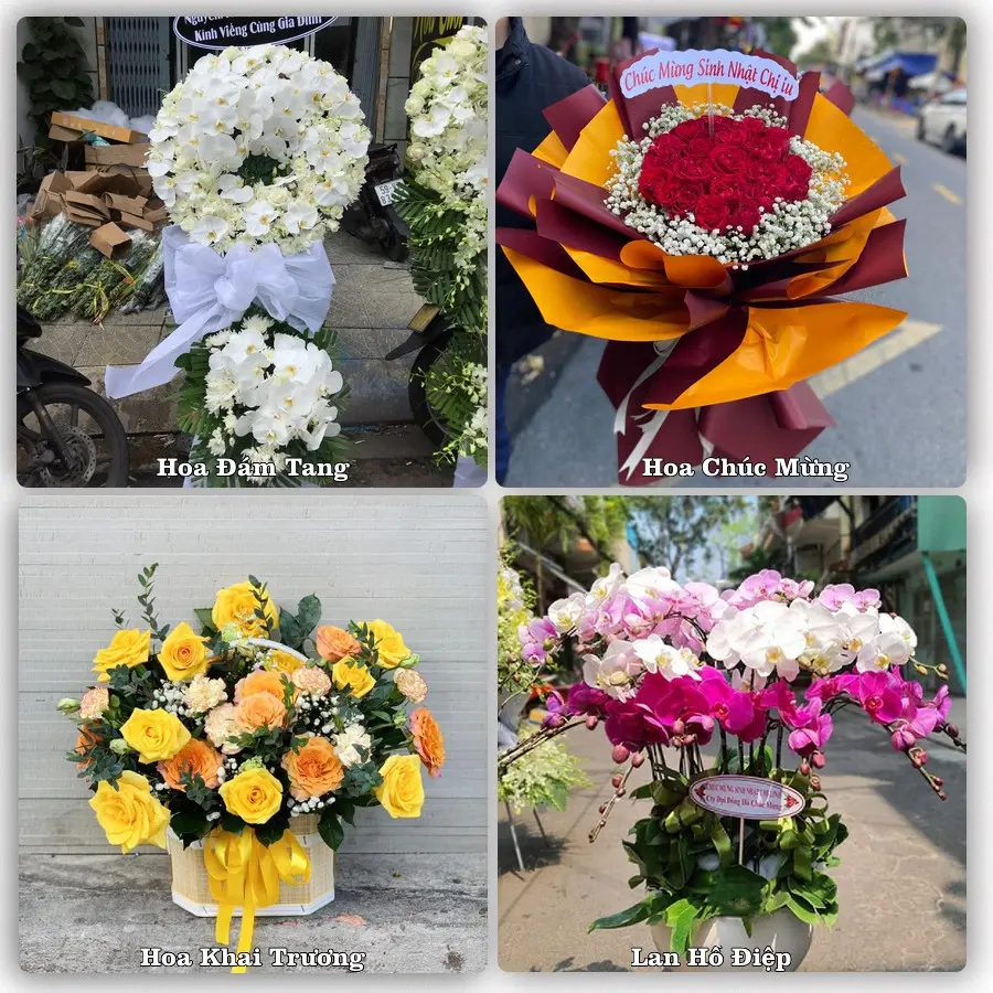 Tư vấn chọn hoa theo người nhận và dịp tặng tại Xã Tân Dương - Tỉnh Đồng Tháp