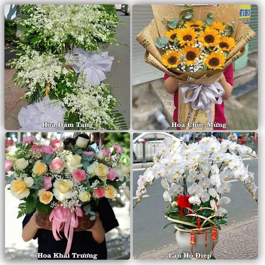 Dịch vụ đặt hoa và giao tận nơi tại Xã Tiên Lãng - Thành phố Hải Phòng