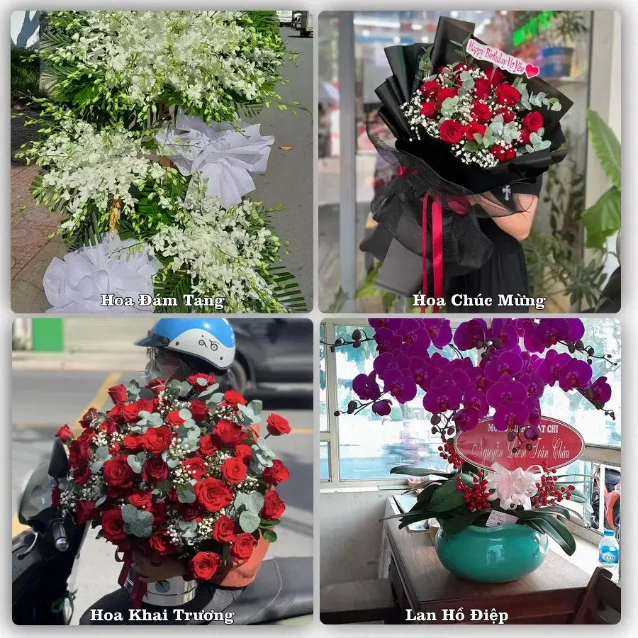 Shop hoa tươi Xã Tiên Lãng, Hải Phòng – đặt hoa theo dịp, giao tận nơi
