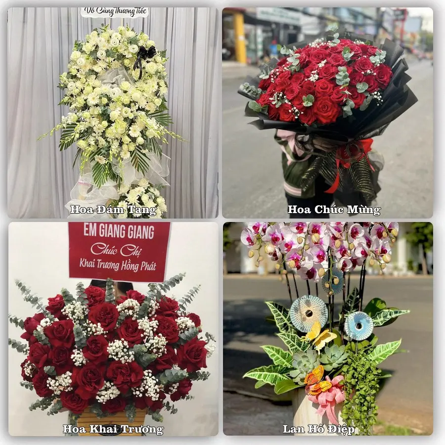 Tư vấn chọn hoa theo người nhận và dịp tặng tại Xã Tiên Lãng - Thành phố Hải Phòng