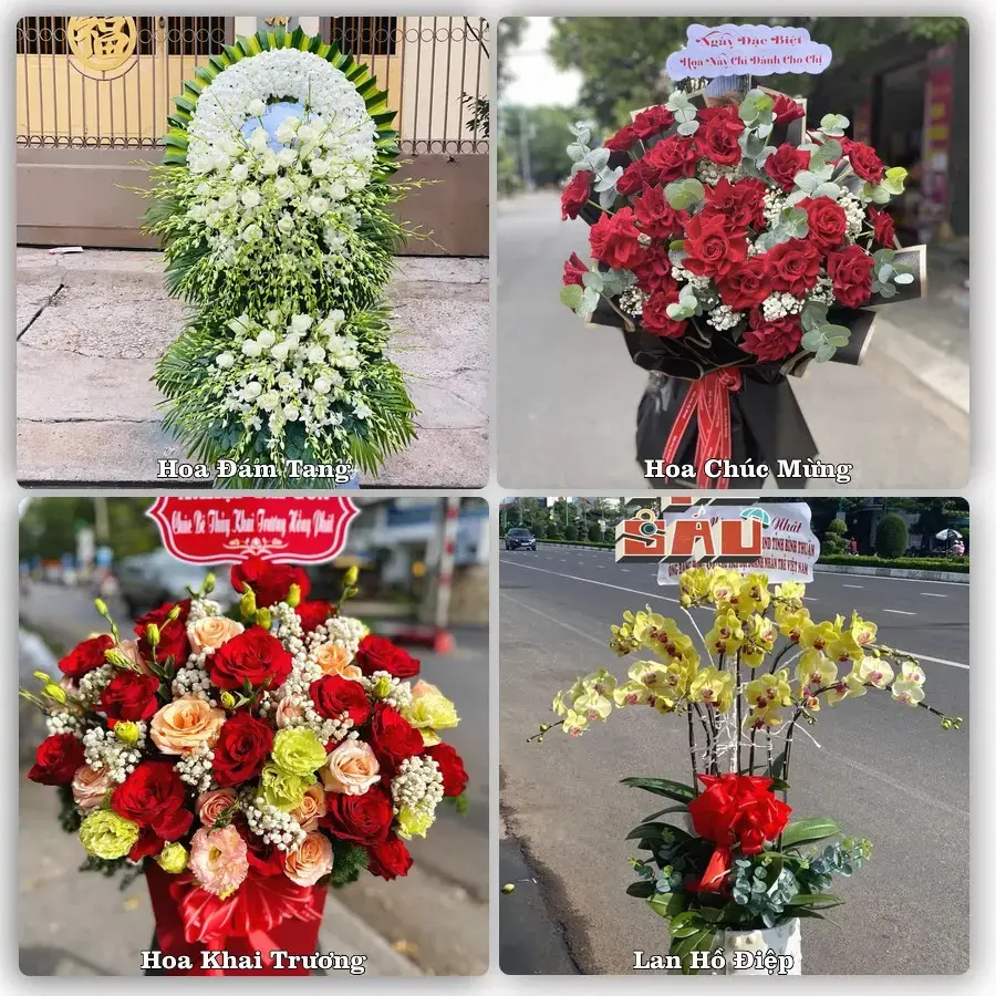 Shop hoa tươi Xã Vạn Lộc, Thanh Hóa – đặt hoa theo dịp, giao tận nơi