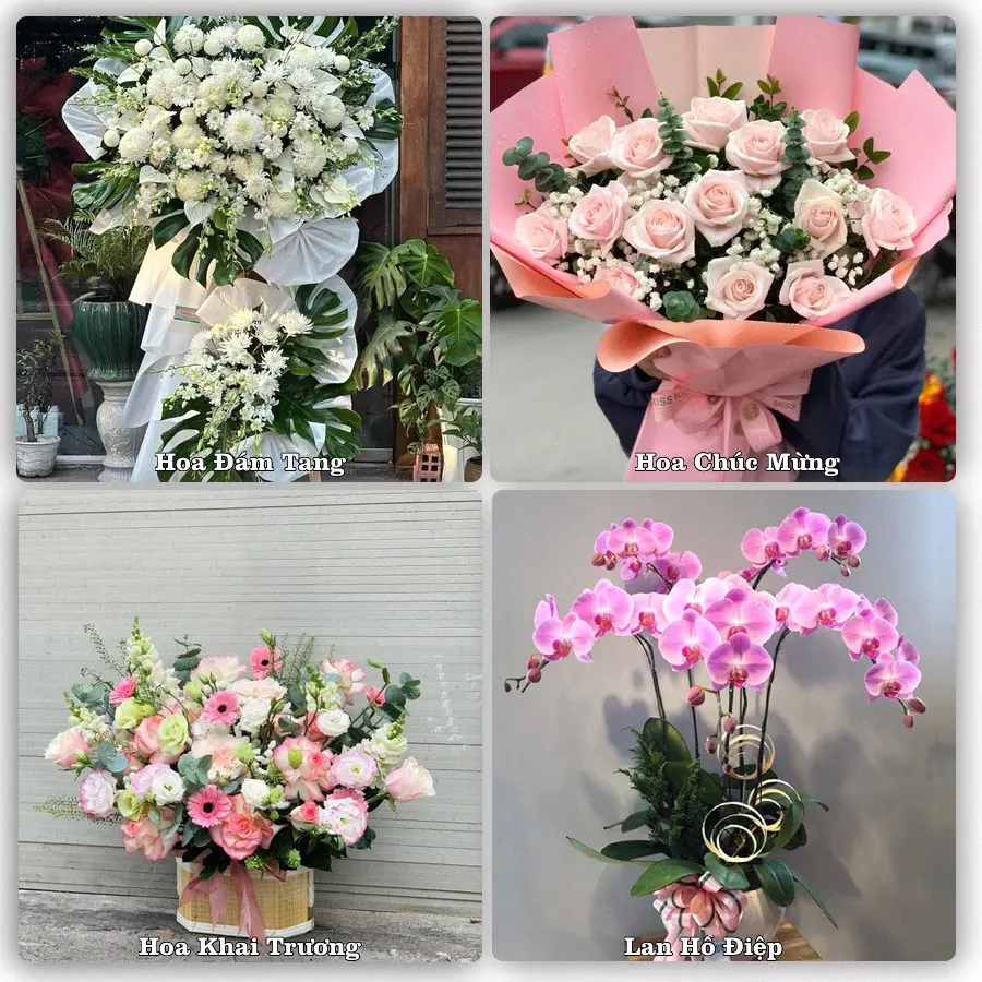 Tư vấn chọn hoa theo người nhận và dịp tặng tại Xã Xuân Lãng - Tỉnh Phú Thọ