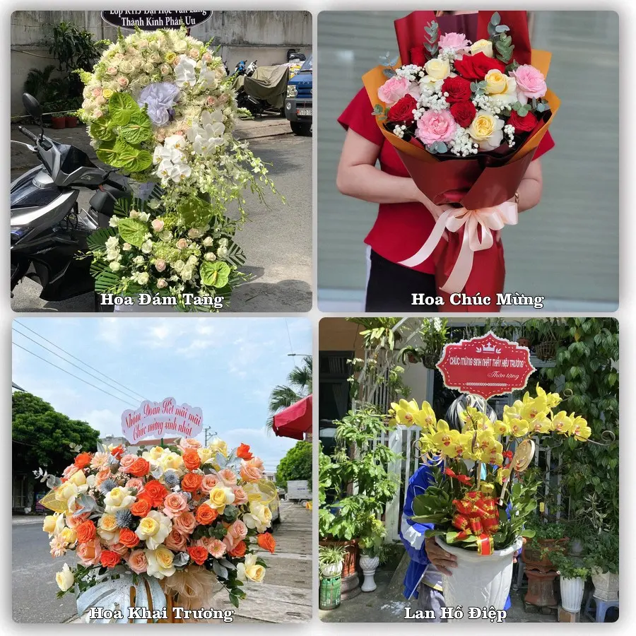 Mẫu hoa phục vụ nhu cầu đặt hoa tại Xã Yên Mô - Tỉnh Ninh Bình