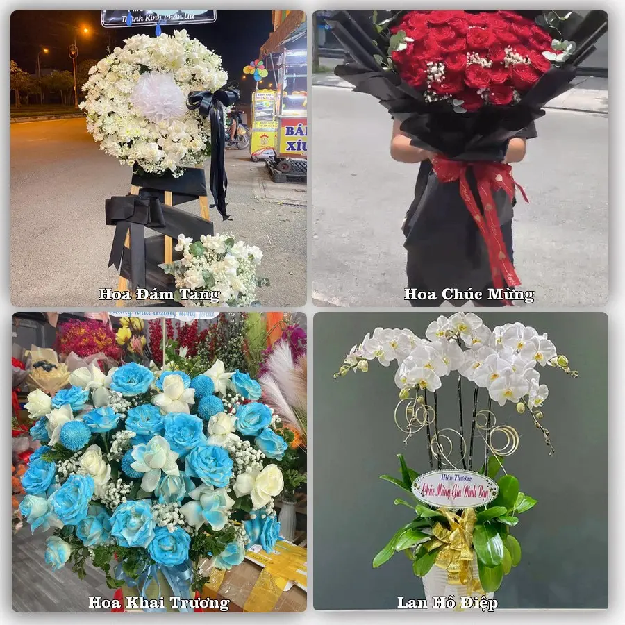 Tư vấn chọn hoa theo người nhận và dịp tặng tại Xã Yên Mô - Tỉnh Ninh Bình