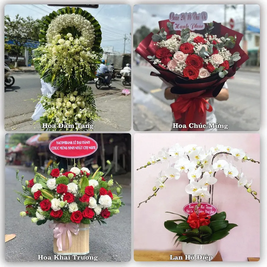 Mẫu hoa phục vụ nhu cầu đặt hoa tại Xã Dân Hòa - Thành phố Hà Nội