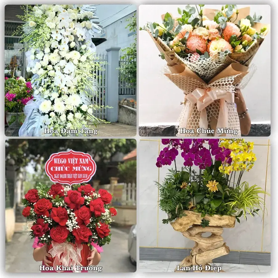 Tư vấn chọn hoa theo người nhận và dịp tặng tại Xã Dân Hòa - Thành phố Hà Nội