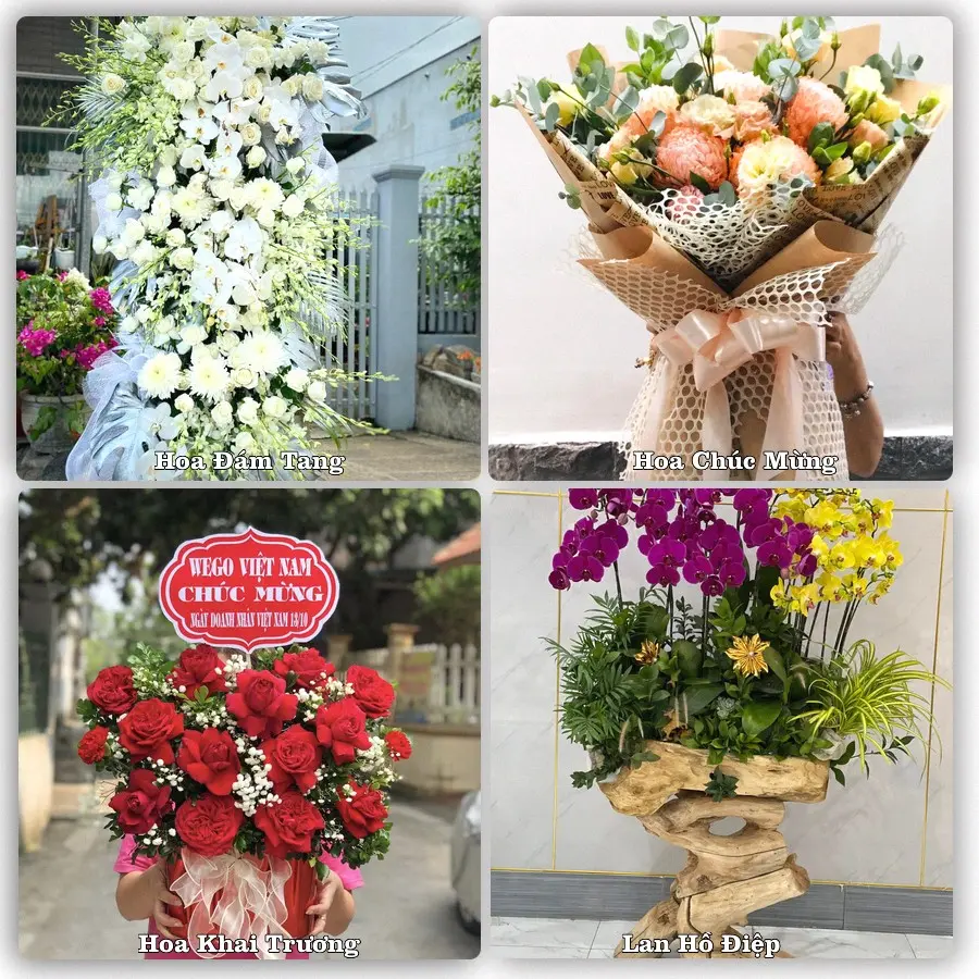 Tư vấn chọn hoa theo người nhận và dịp tặng tại Xã Dân Hòa - Thành phố Hà Nội