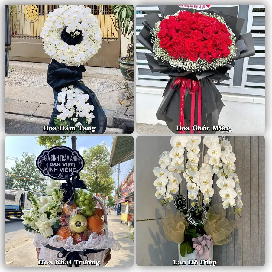 Mẫu hoa phục vụ nhu cầu đặt hoa tại Phường Đồ Sơn - Thành phố Hải Phòng