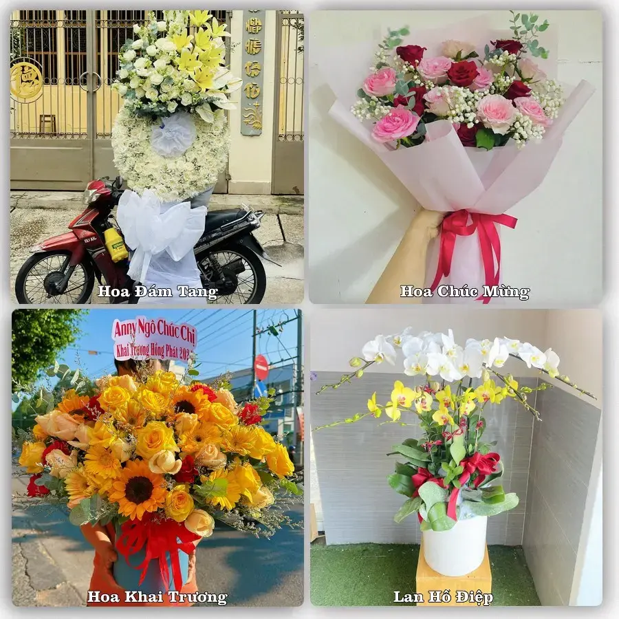 Tư vấn chọn hoa theo người nhận và dịp tặng tại Phường Đồ Sơn - Thành phố Hải Phòng