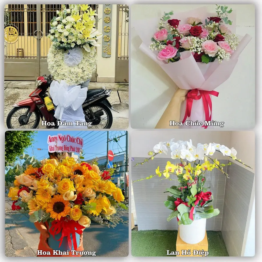 Tư vấn chọn hoa theo người nhận và dịp tặng tại Phường Đồ Sơn - Thành phố Hải Phòng