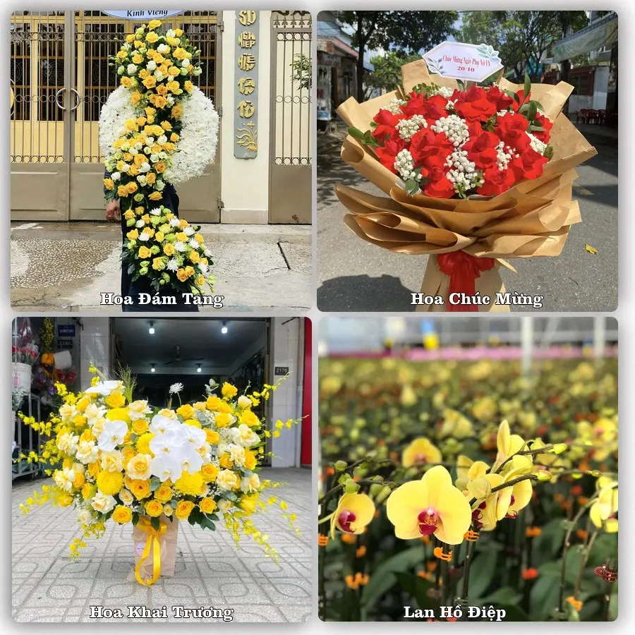 Dịch vụ đặt hoa và giao tận nơi tại Phường Đồng Hới - Tỉnh Quảng Trị
