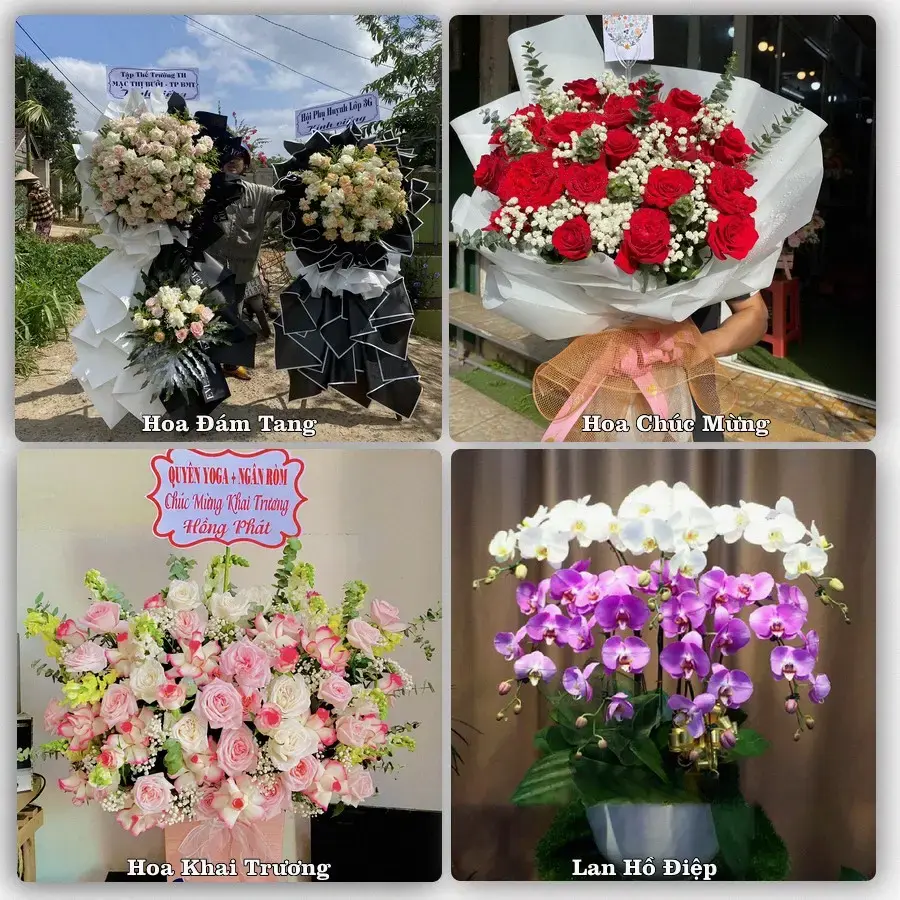 Shop hoa tươi Phường Đồng Hới, Quảng Trị – đặt hoa theo dịp, giao tận nơi