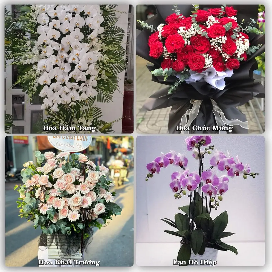 Tư vấn chọn hoa theo người nhận và dịp tặng tại Phường Đồng Hới - Tỉnh Quảng Trị