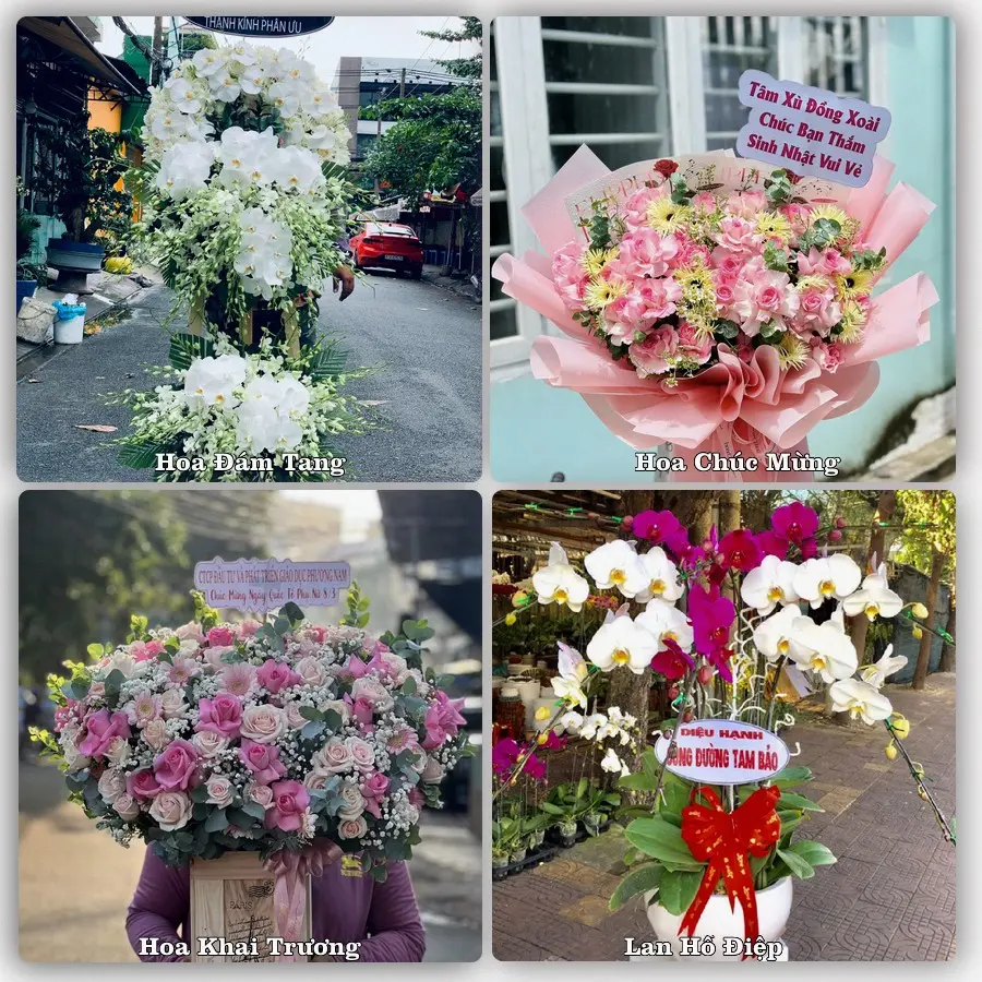 Mẫu hoa phục vụ nhu cầu đặt hoa tại Phường Long Thuận - Tỉnh Đồng Tháp