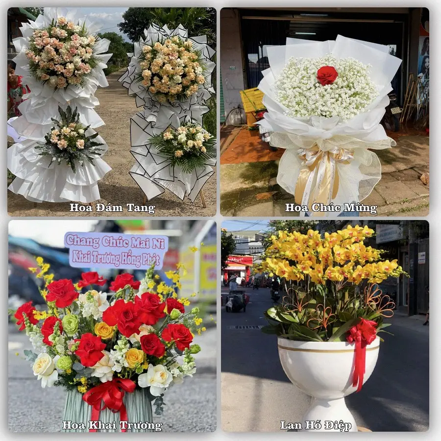 Tư vấn chọn hoa theo người nhận và dịp tặng tại Xã Mao Điền - Thành phố Hải Phòng
