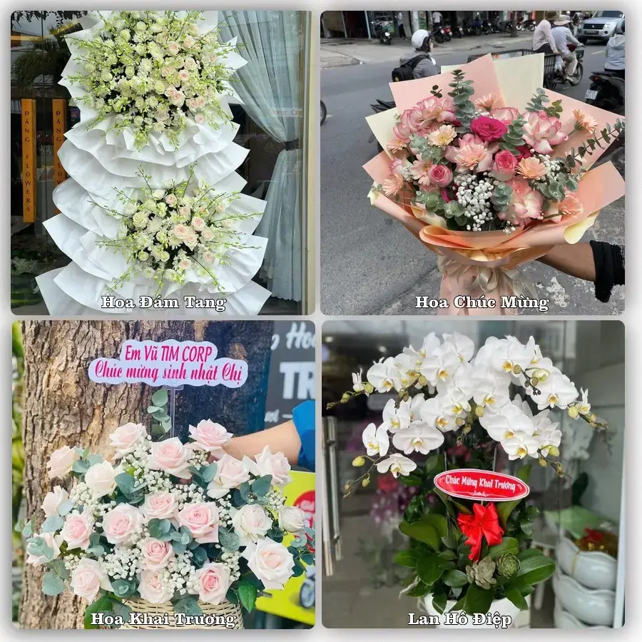 Tư vấn chọn hoa theo người nhận và dịp tặng tại Xã Phú Bình - Tỉnh Thái Nguyên