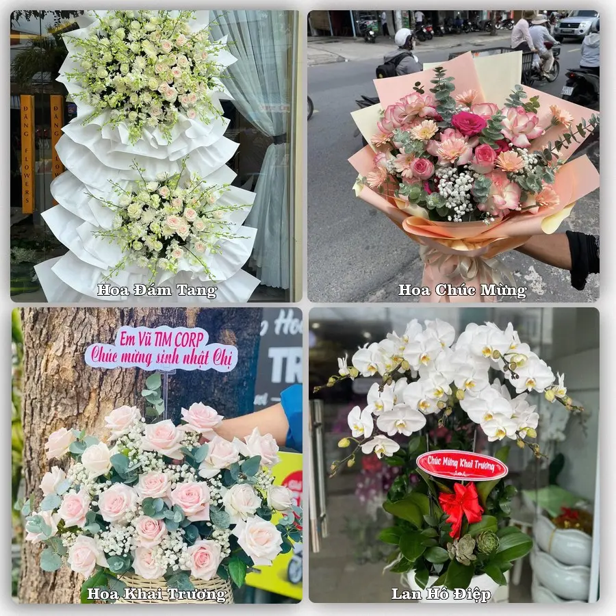 Tư vấn chọn hoa theo người nhận và dịp tặng tại Xã Phú Bình - Tỉnh Thái Nguyên