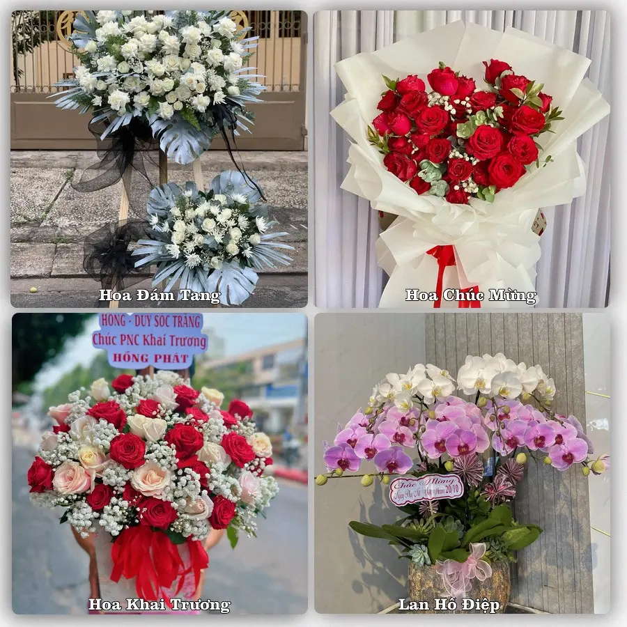Mẫu hoa phục vụ nhu cầu đặt hoa tại Xã Phước Hải - Thành phố Hồ Chí Minh