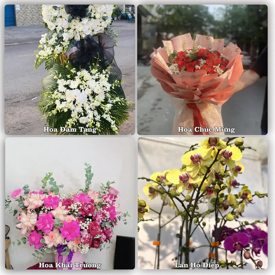 Tư vấn chọn hoa theo người nhận và dịp tặng tại Xã Phước Hải - Thành phố Hồ Chí Minh