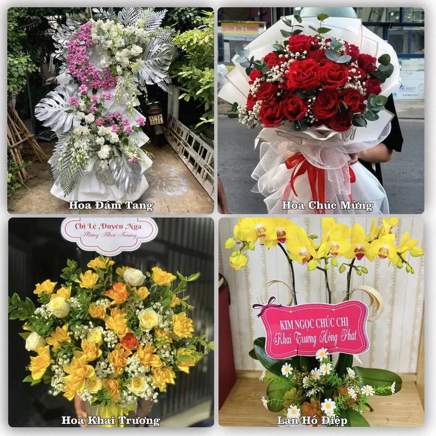Tư vấn chọn hoa theo người nhận và dịp tặng tại Xã Tam Dương - Tỉnh Phú Thọ