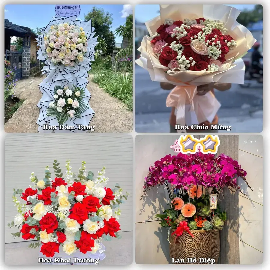 Tư vấn chọn hoa theo người nhận và dịp tặng tại Phường Tân Châu - Tỉnh An Giang