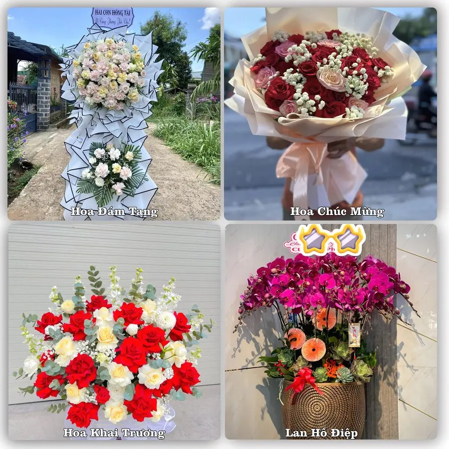 Tư vấn chọn hoa theo người nhận và dịp tặng tại Phường Tân Châu - Tỉnh An Giang