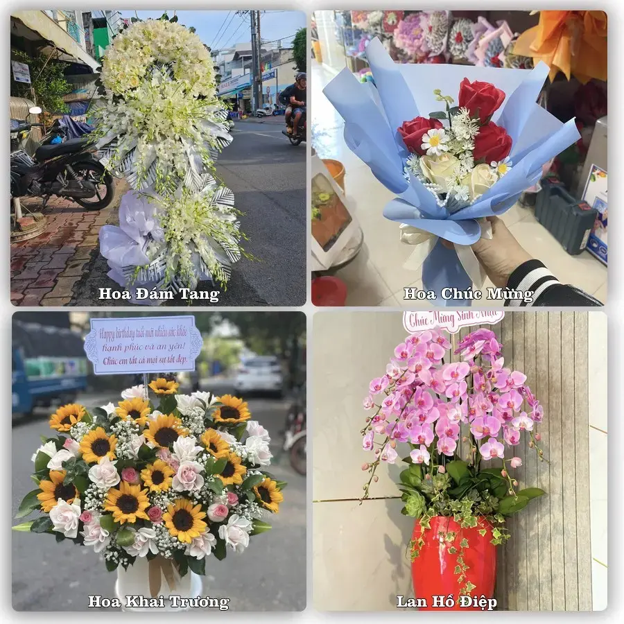 Dịch vụ đặt hoa và giao tận nơi tại Phường Ba Đồn - Tỉnh Quảng Trị