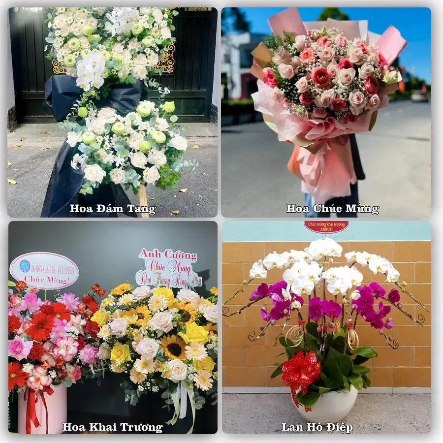 Mẫu hoa phục vụ nhu cầu đặt hoa tại Phường Ba Đồn - Tỉnh Quảng Trị