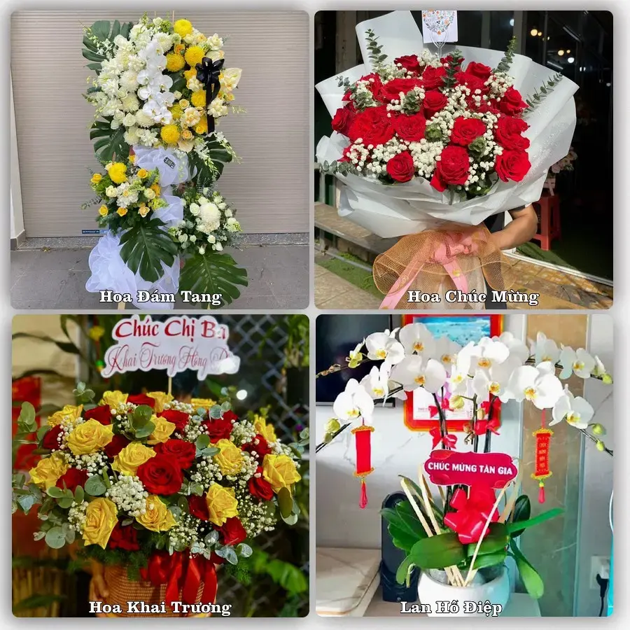Tư vấn chọn hoa theo người nhận và dịp tặng tại Phường Ba Đồn - Tỉnh Quảng Trị
