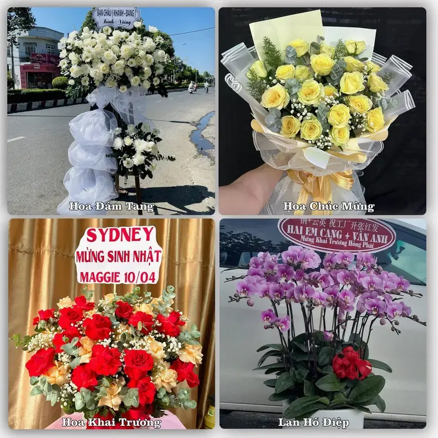 Đặt hoa tươi tại Phường Bạch Đằng, Hải Phòng – chọn mẫu theo ngân sách