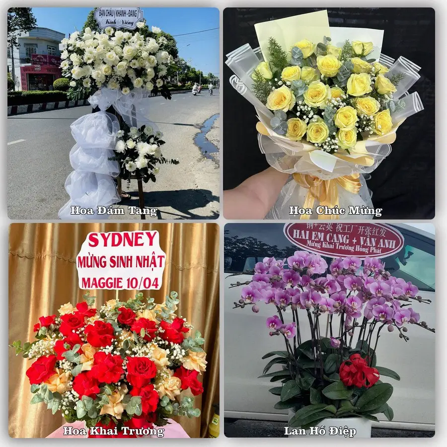 Mẫu hoa phục vụ nhu cầu đặt hoa tại Phường Bạch Đằng - Thành phố Hải Phòng