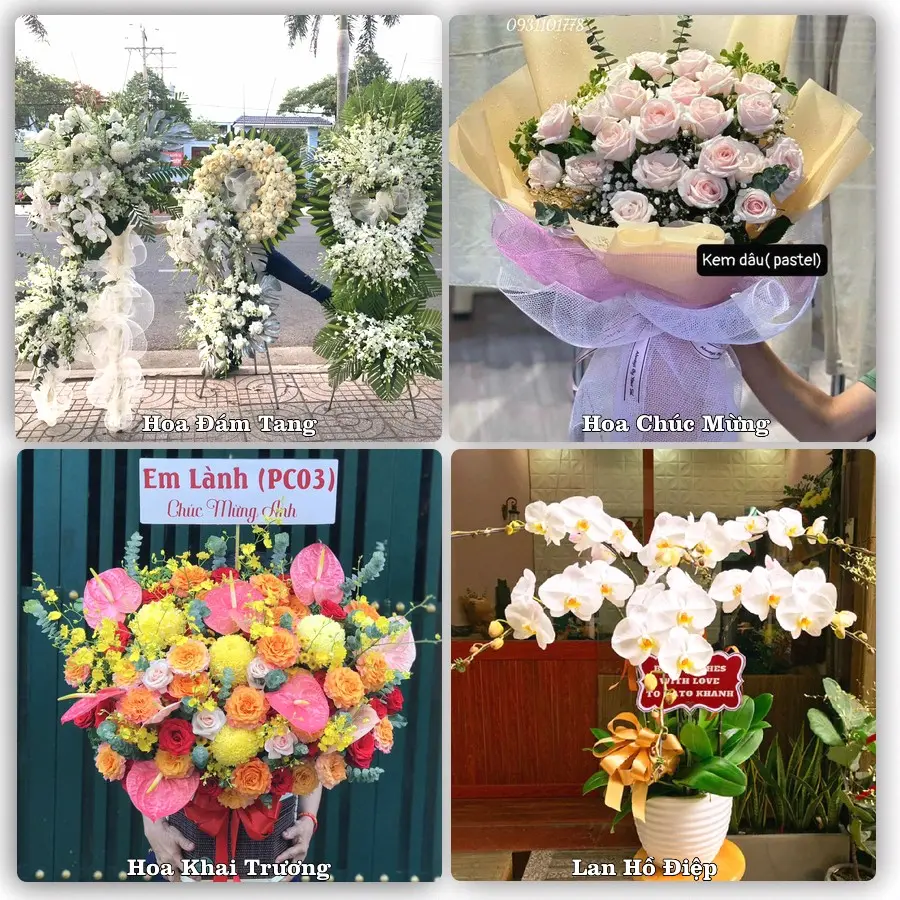 Tư vấn chọn hoa theo người nhận và dịp tặng tại Phường Bạch Đằng - Thành phố Hải Phòng