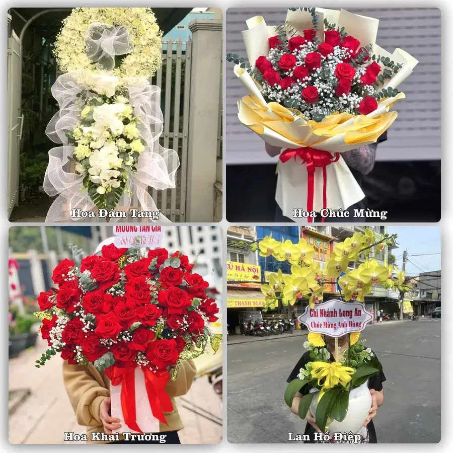 Đặt hoa tươi tại Phường Hòa Thành, Cà Mau – chọn mẫu theo ngân sách