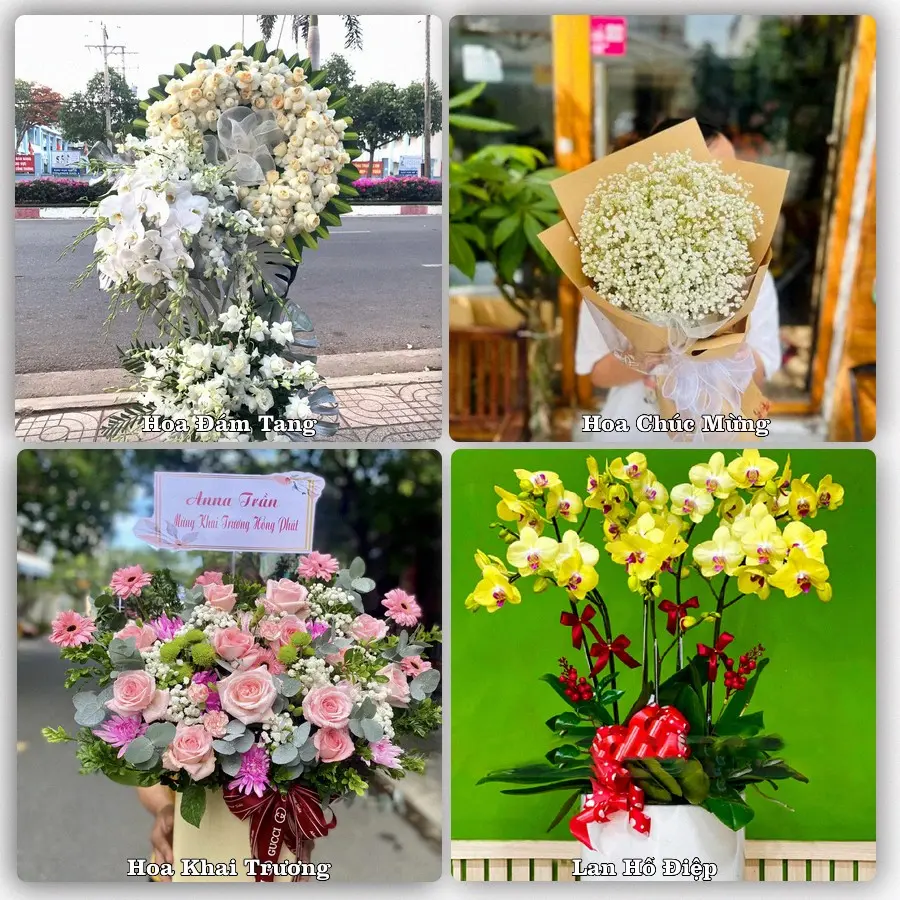 Tư vấn chọn hoa theo người nhận và dịp tặng tại Phường Hòa Thành - Tỉnh Cà Mau