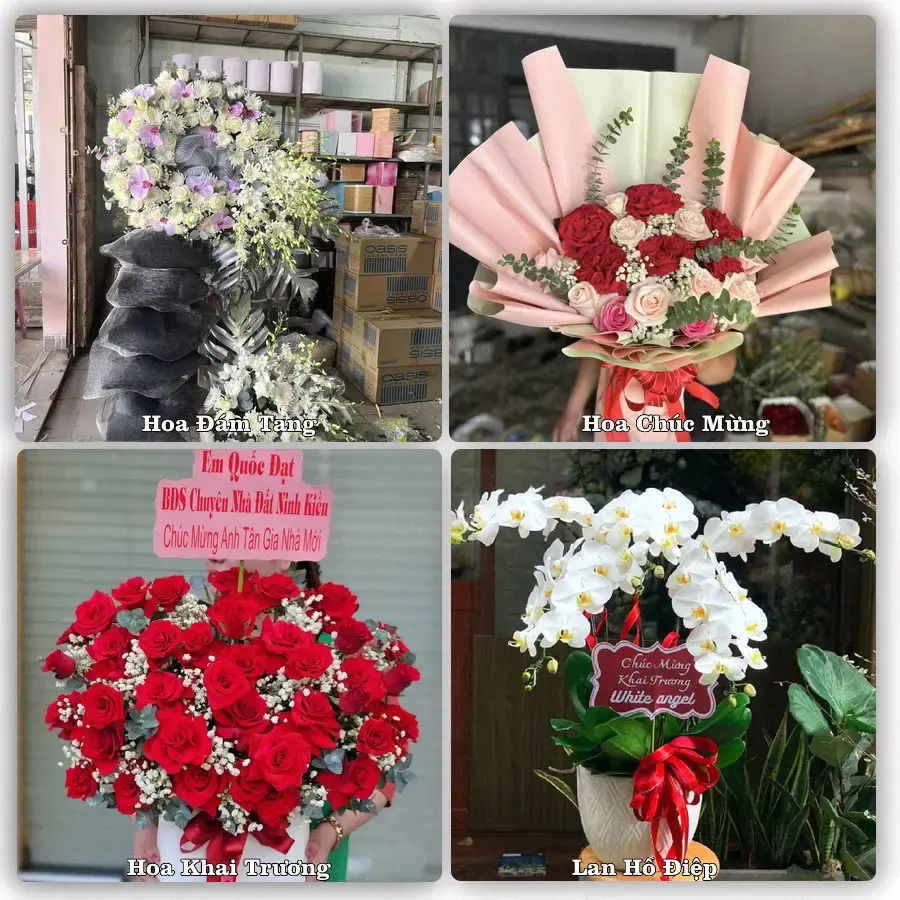 Đặt hoa tươi tại Phường Hội An Đông, Đà Nẵng – chọn mẫu theo ngân sách
