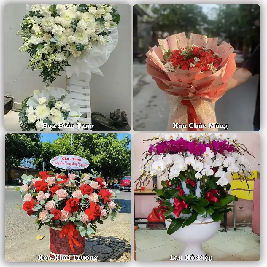 Đặt hoa tươi tại Xã Long Điền, Hồ Chí Minh – chọn mẫu theo ngân sách