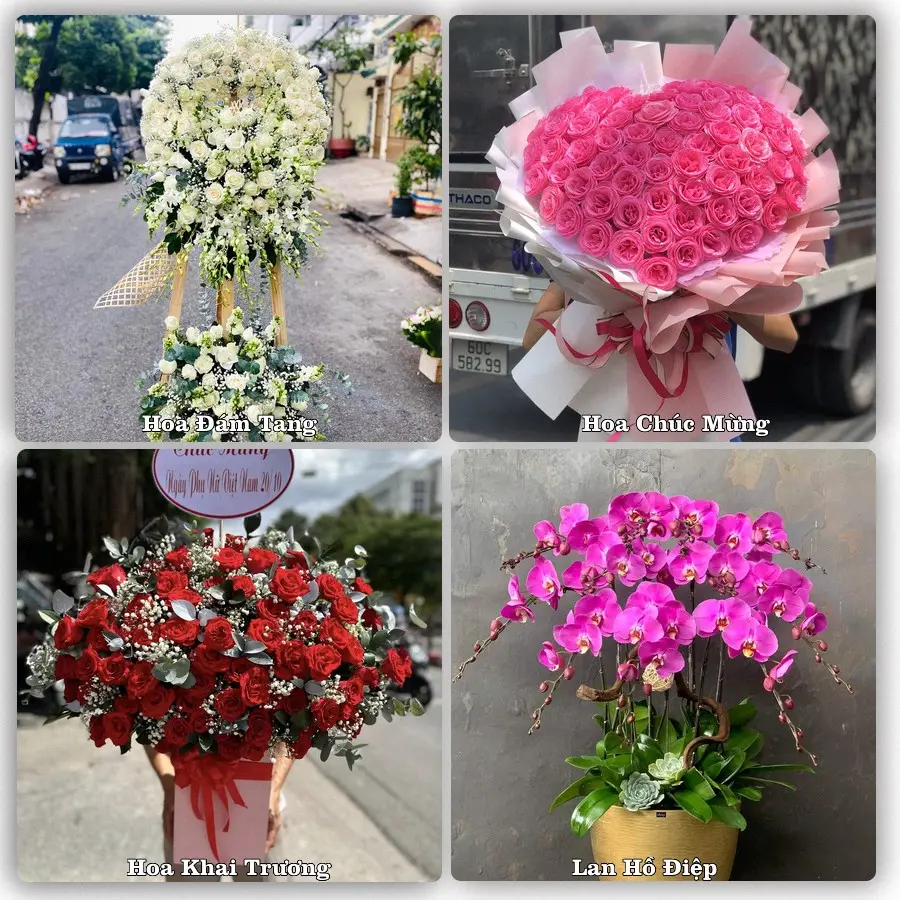 Tư vấn chọn hoa theo người nhận và dịp tặng tại Xã Long Điền - Thành phố Hồ Chí Minh