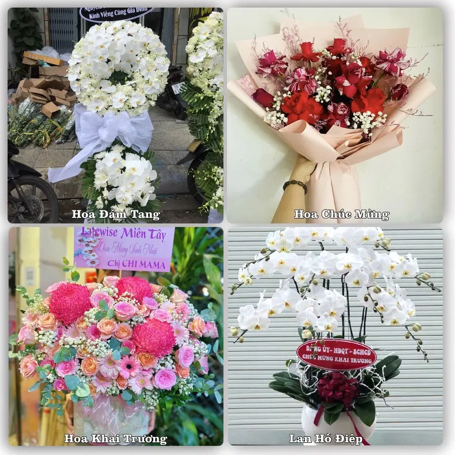 Dịch vụ đặt hoa và giao tận nơi tại Xã Nam Ninh - Tỉnh Ninh Bình