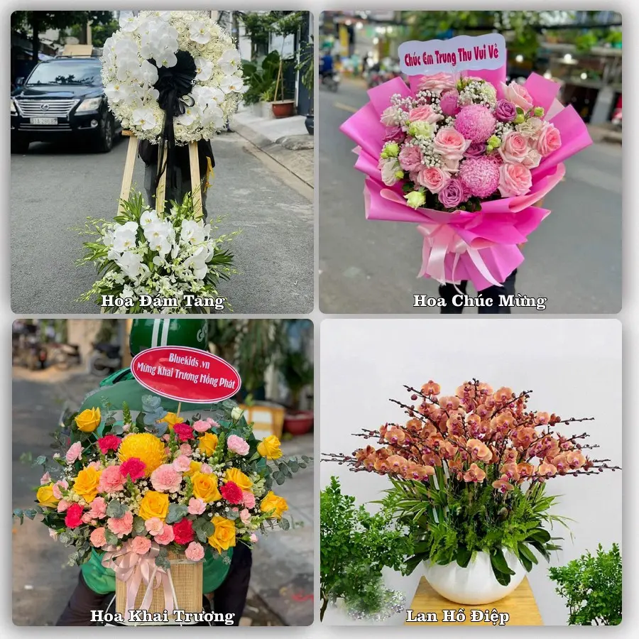 Mẫu hoa phục vụ nhu cầu đặt hoa tại Xã Nam Ninh - Tỉnh Ninh Bình