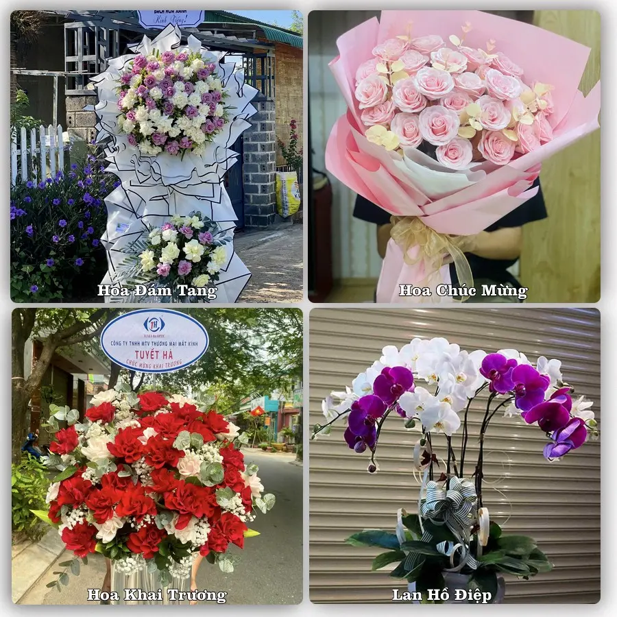 Tư vấn chọn hoa theo người nhận và dịp tặng tại Xã Nam Ninh - Tỉnh Ninh Bình