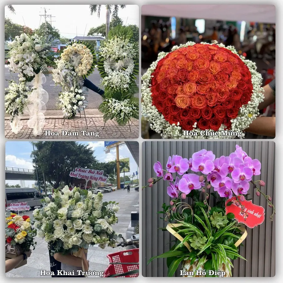 Dịch vụ đặt hoa và giao tận nơi tại Xã Nam Thanh Miện - Thành phố Hải Phòng
