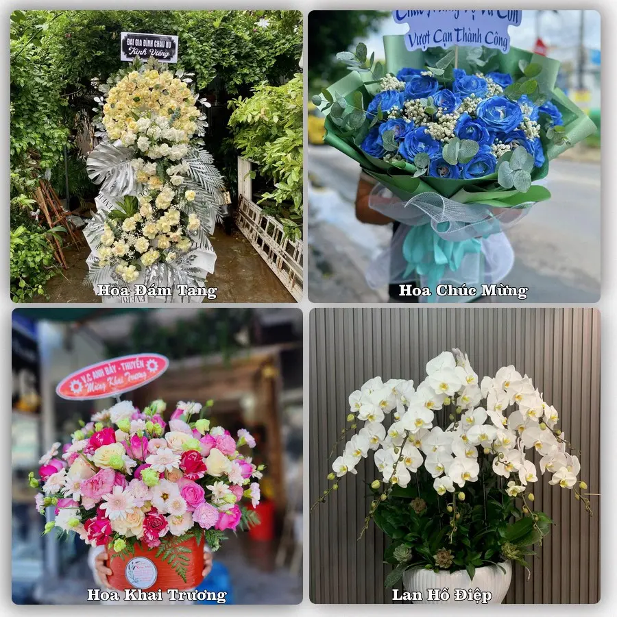 Tư vấn chọn hoa theo người nhận và dịp tặng tại Xã Nam Thanh Miện - Thành phố Hải Phòng