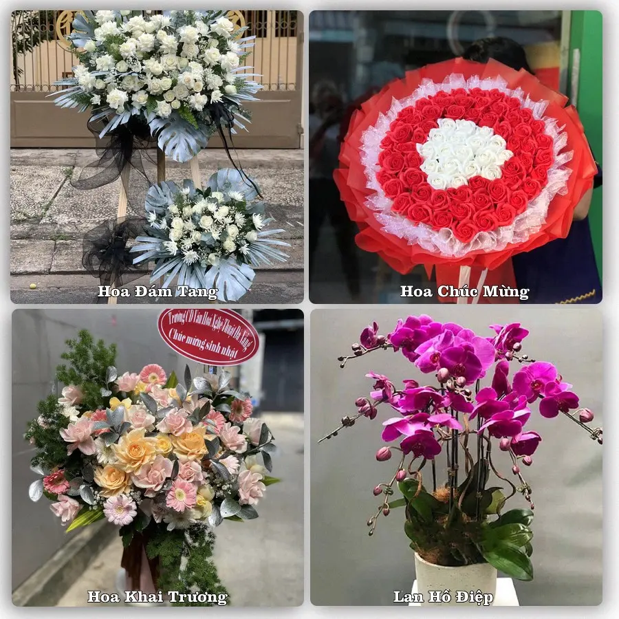 Dịch vụ đặt hoa và giao tận nơi tại Xã Phong Điền - Thành phố Cần Thơ