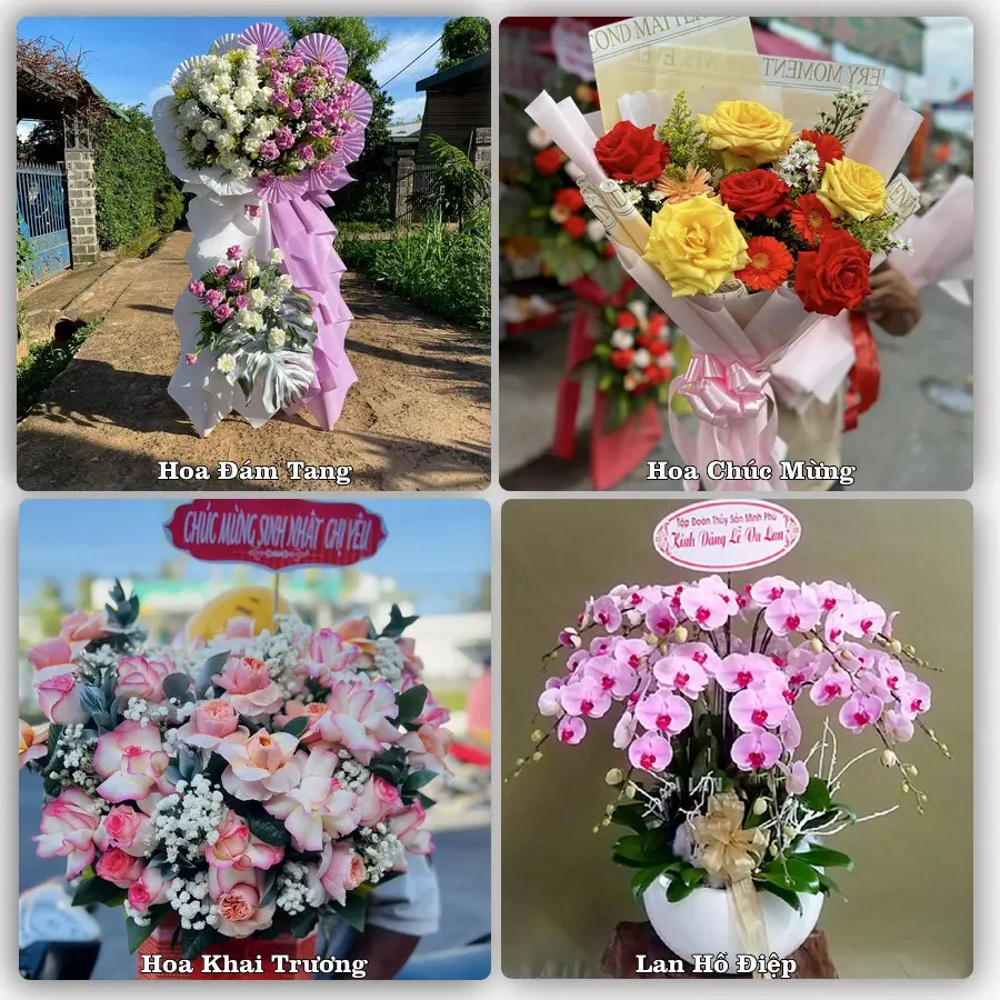 Tư vấn chọn hoa theo người nhận và dịp tặng tại Xã Phong Điền - Thành phố Cần Thơ