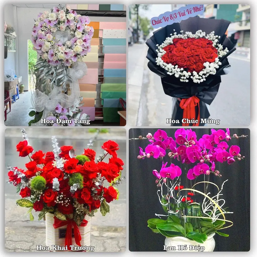Tư vấn chọn hoa theo người nhận và dịp tặng tại Xã Quỳnh Phú - Tỉnh Nghệ An