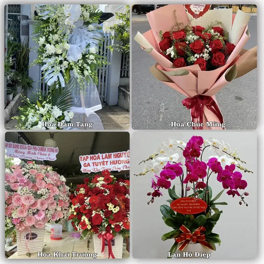 Tư vấn chọn hoa theo người nhận và dịp tặng tại Phường Thanh Thủy - Thành phố Huế